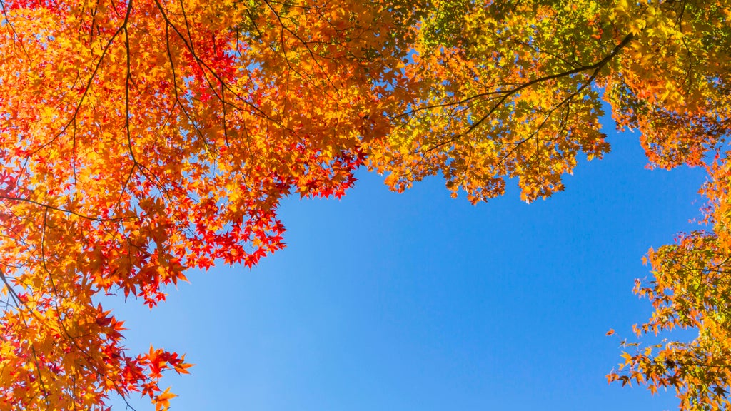 More near-record warmth Monday in Minnesota ahead of big cooldown — WCCO / CBS Minnesota, Edina Community news