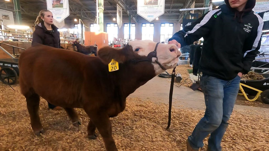 Spotlight on beef as Minnesota midterms near — WCCO / CBS Minnesota, Edina Community news