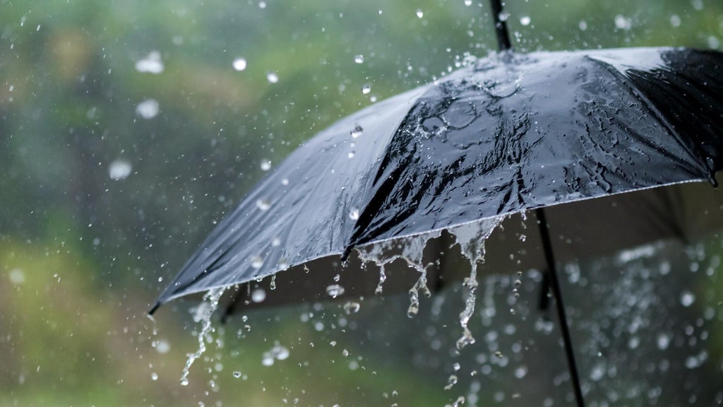 Widespread rain in Minnesota Monday; milder air returns Tuesday — WCCO / CBS Minnesota, Edina Community news