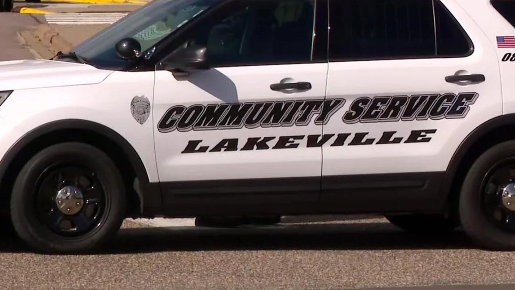 Lakeville man convicted of murdering sister, her unborn child in 2024 — WCCO / CBS Minnesota, Edina Community news