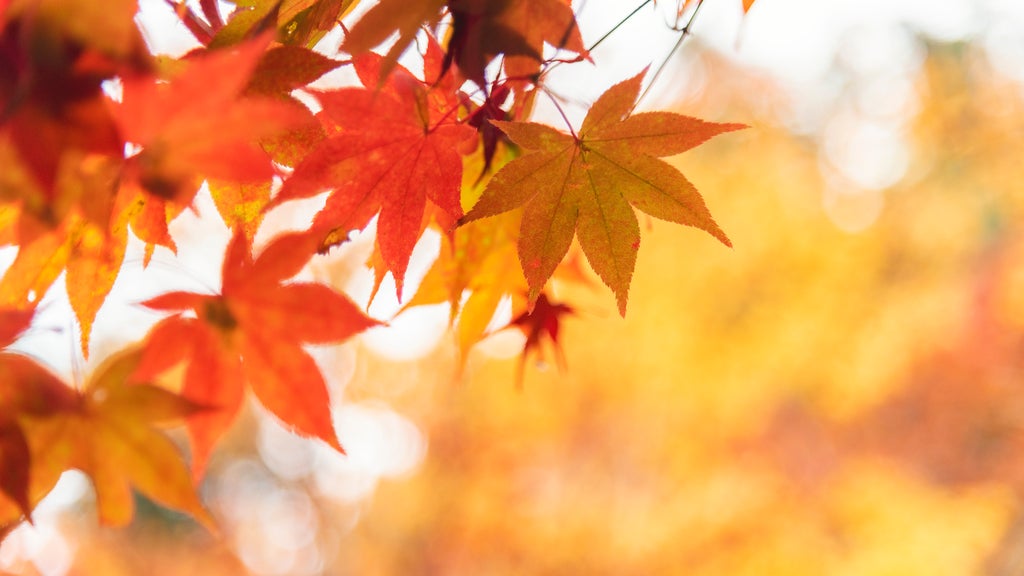 More sunny, mild late October weather in Minnesota Tuesday — WCCO / CBS Minnesota, Edina Business news