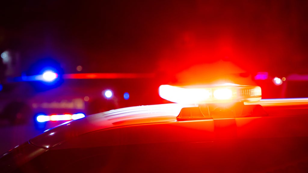 Driver killed in head-on collision with semi in central Minnesota — Edina Community news