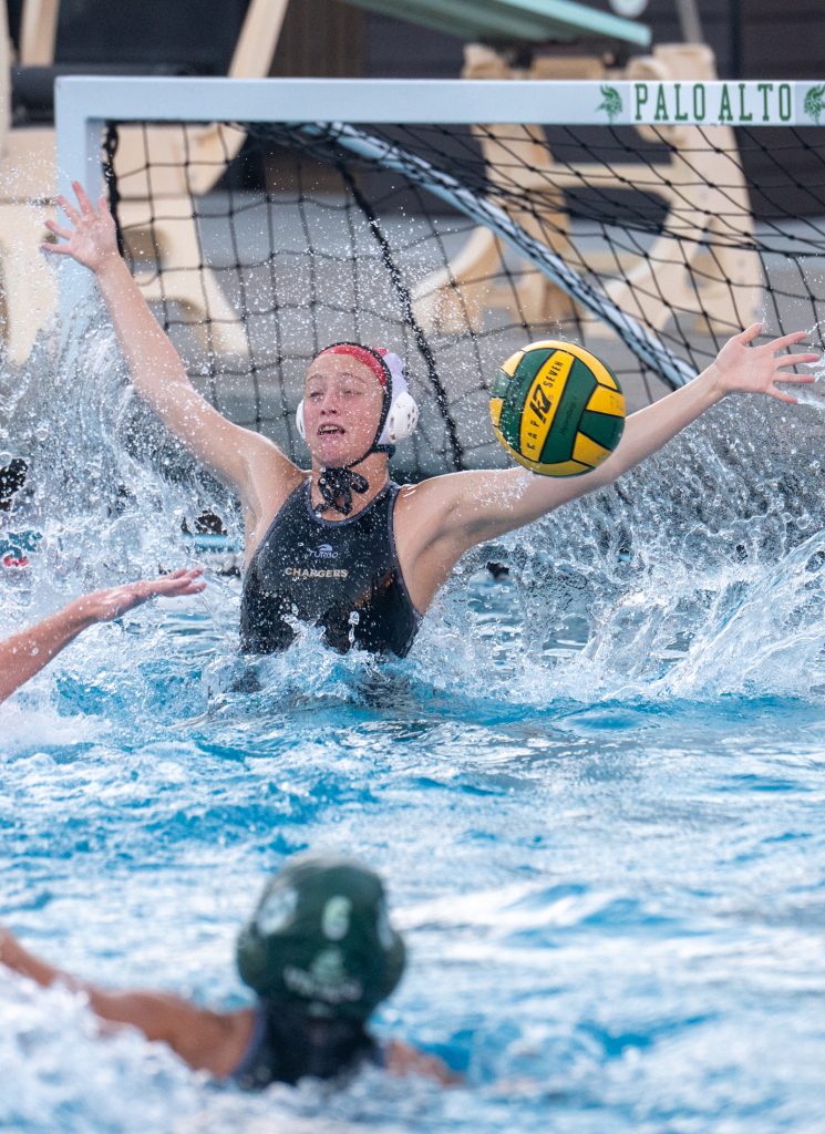 Wilcox Water Polo Caught in Vikings Rip Current — Silicon Valley Voice, Edina Sports news