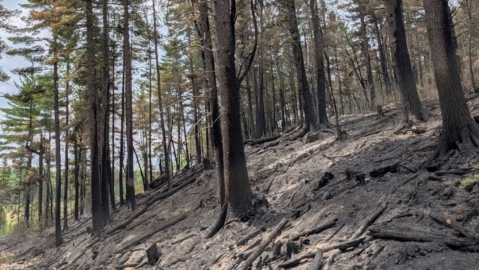 74-year-old who became separated from his family on a trail in Ely was discovered dead — KSTP 5, Edina Community news