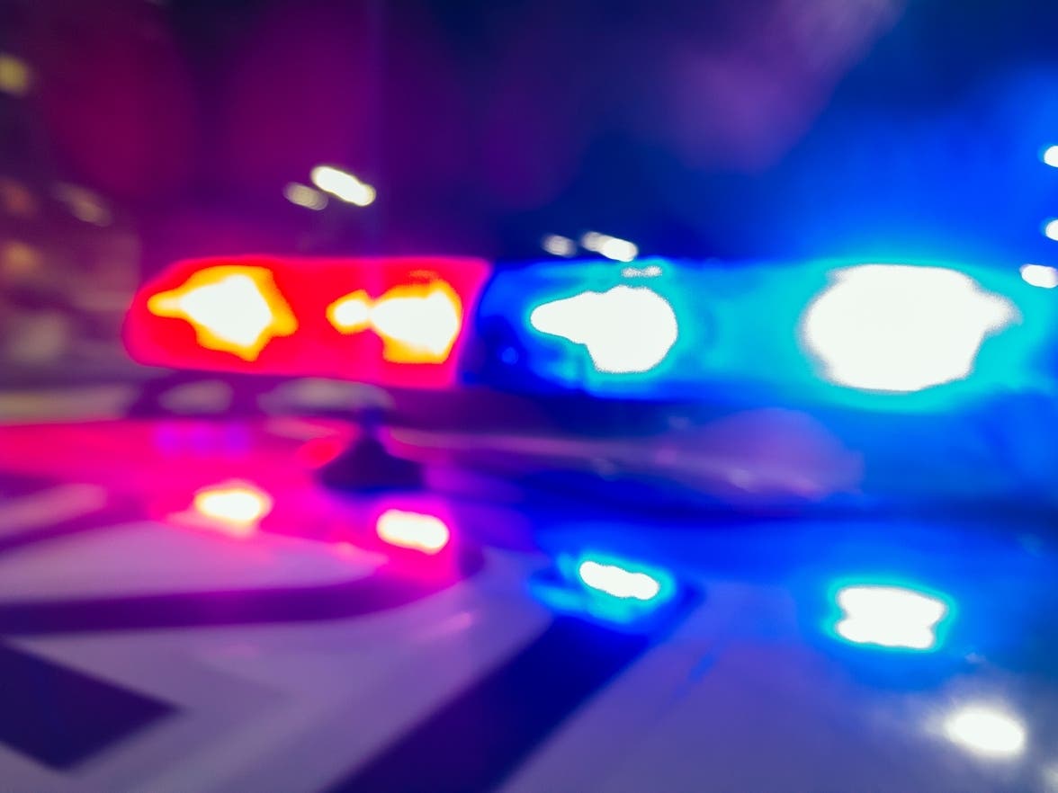 Bradenton Man Dies After SUV Crashes Into Tree In Sarasota County — Sarasota Patch, Edina Health news