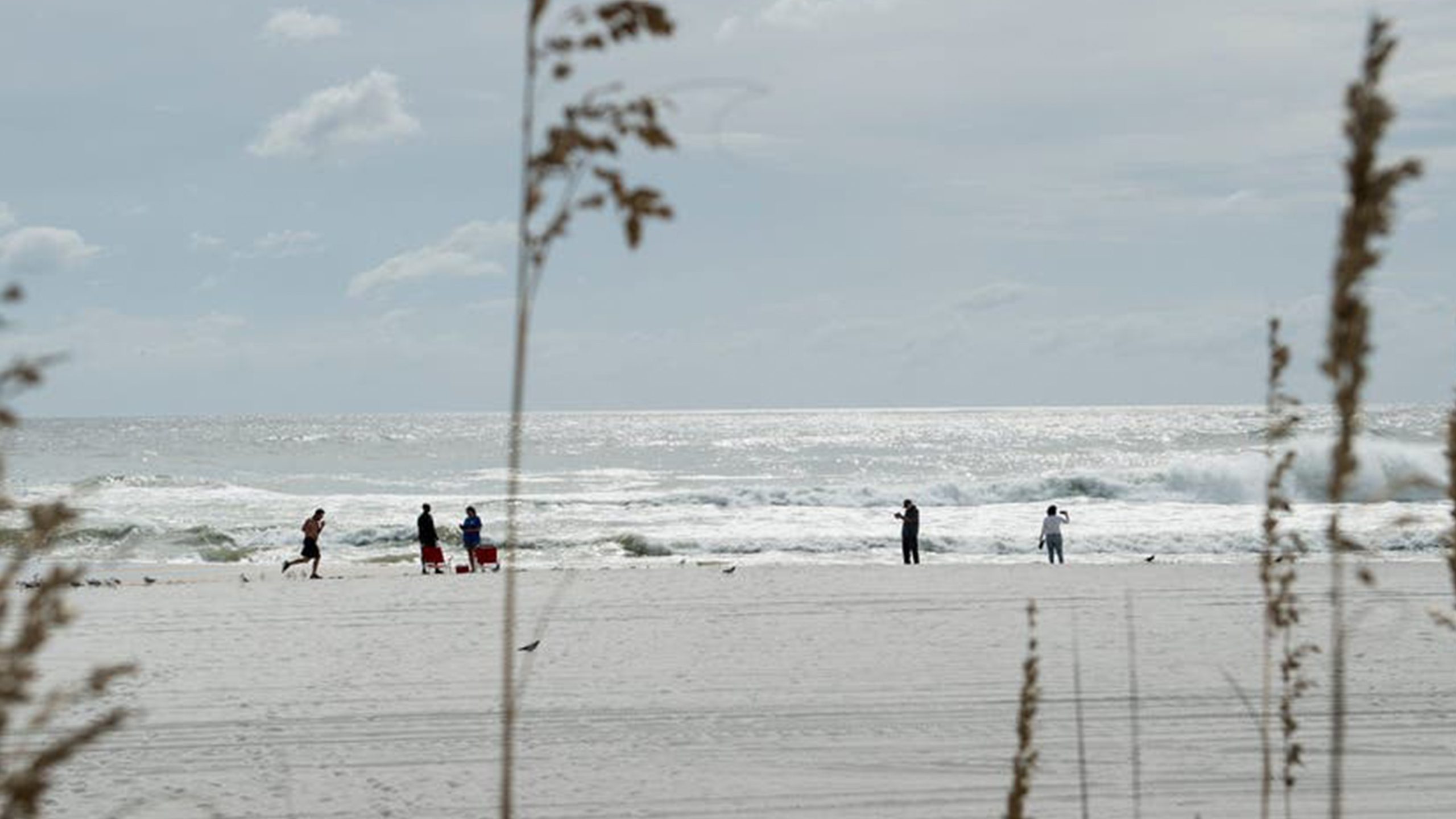 Father of 2 drowns after being caught in current trying to rescue seagull caught in fishing line — Edina Community news